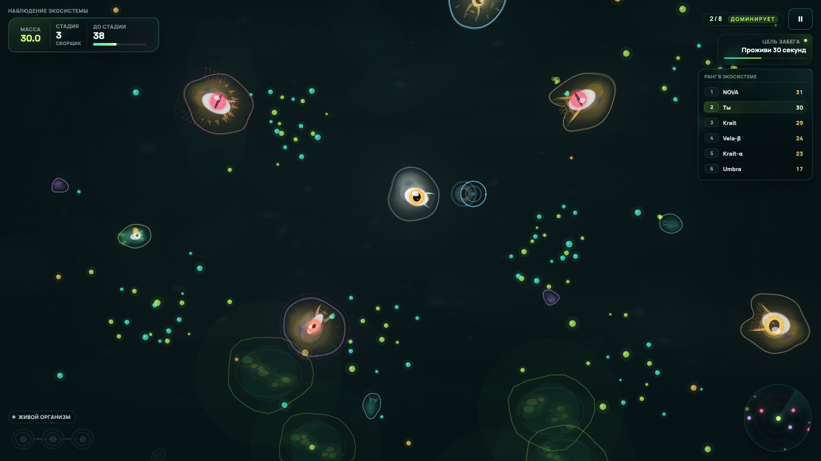 Sporio — screenshot 4