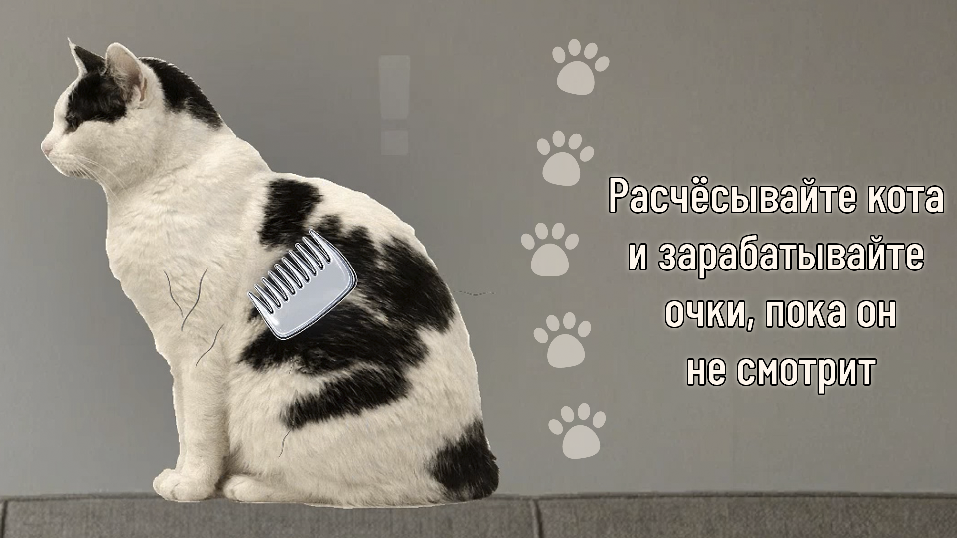 Расчёсывай! Пока кот не смотрит — screenshot 1