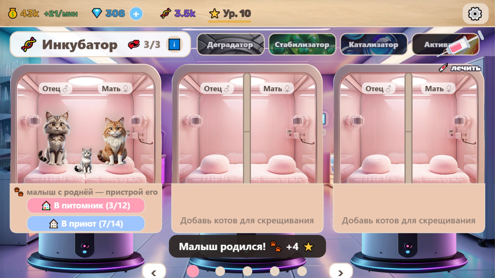 Котолаборатория — screenshot 12