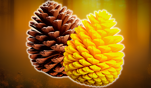 Merge: From Seed to Cone!
