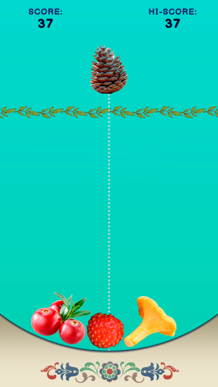 Gifts of the forest screenshot 3