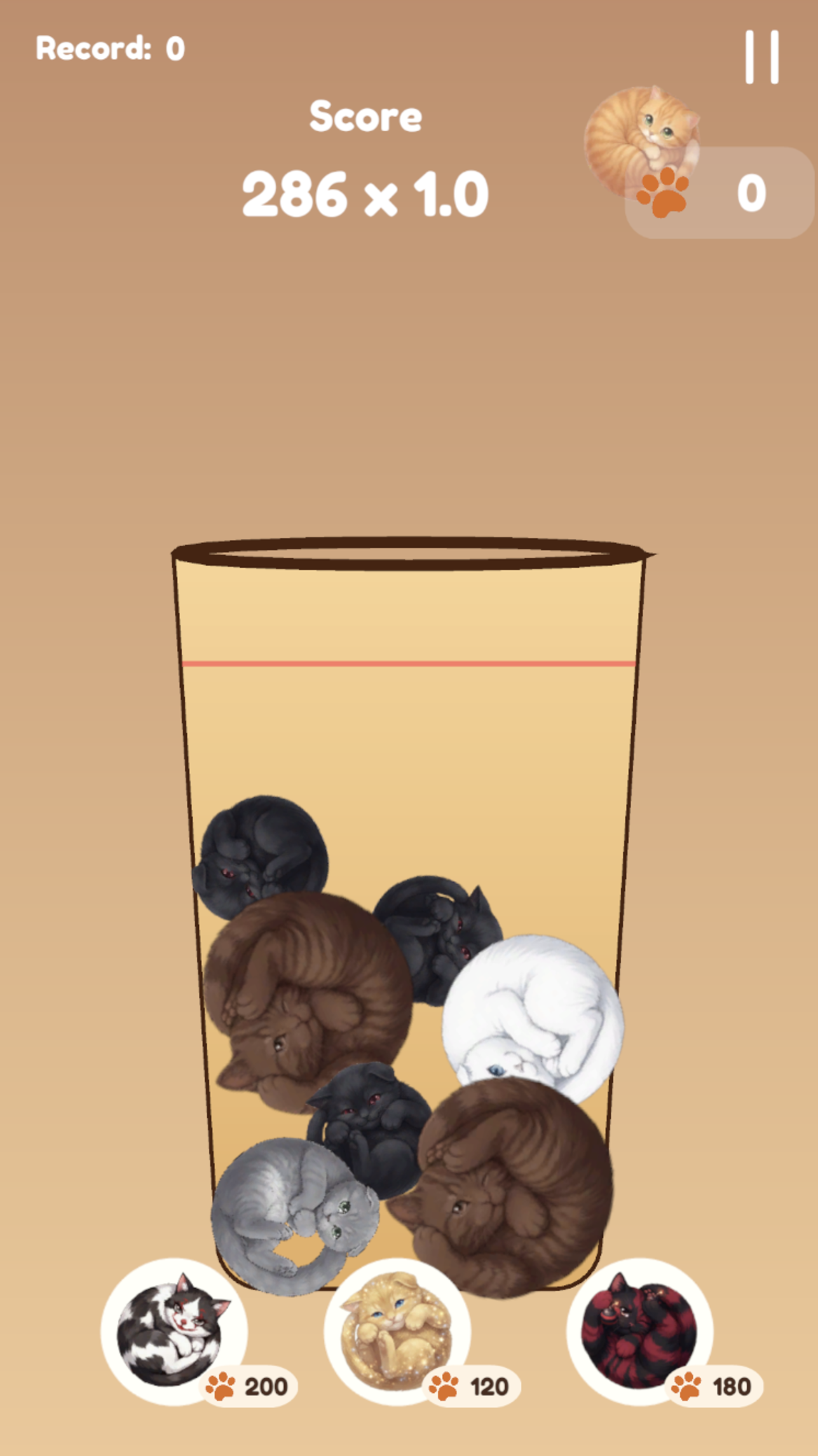 Cats in a bottle screenshot 5
