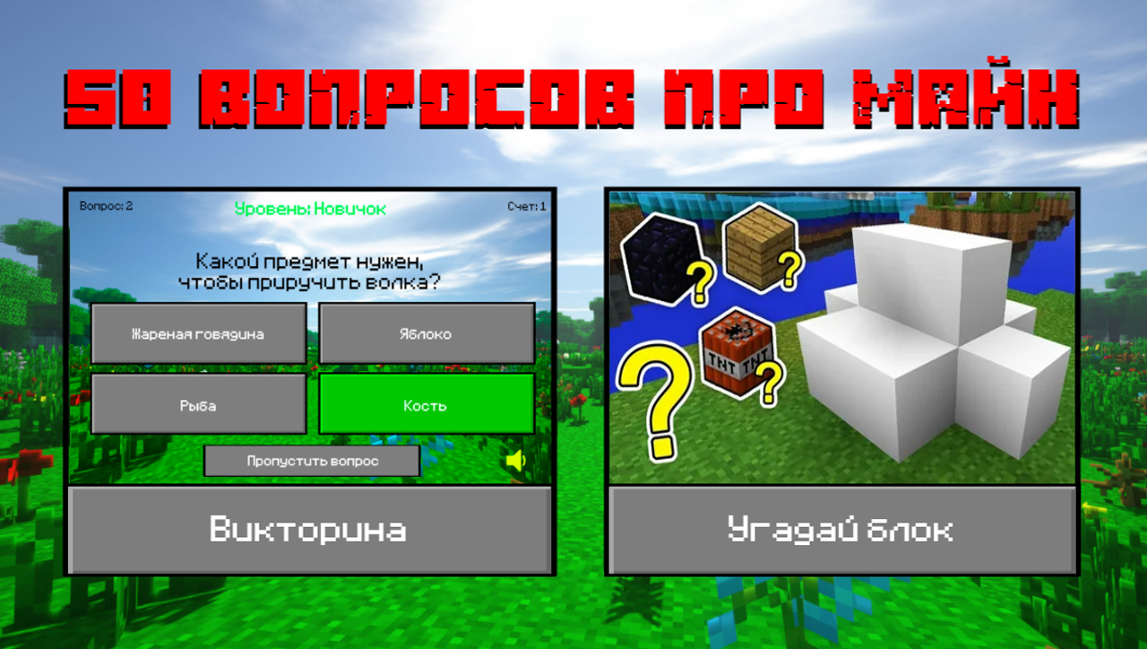 50 вопросов про Майн — screenshot 6