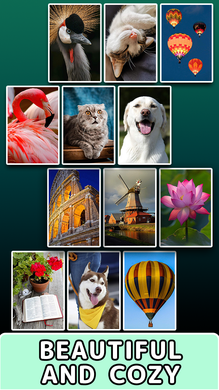 Pictures in Pieces screenshot 6