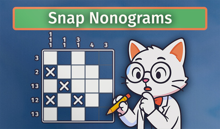 Snap Nonograms