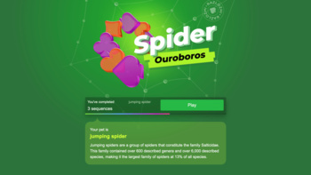 Spider Ouroboros