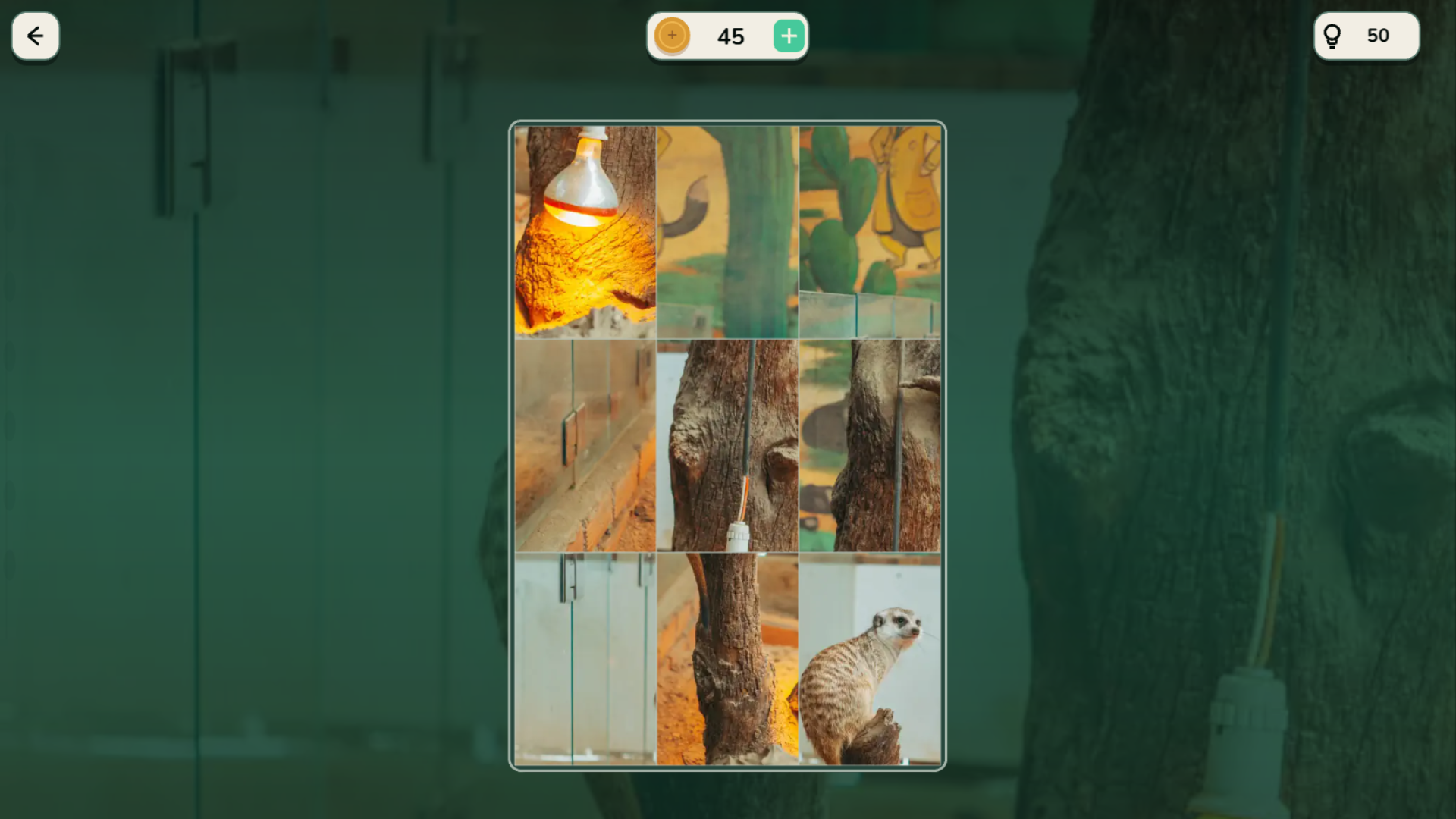Forest Adventures — screenshot 2