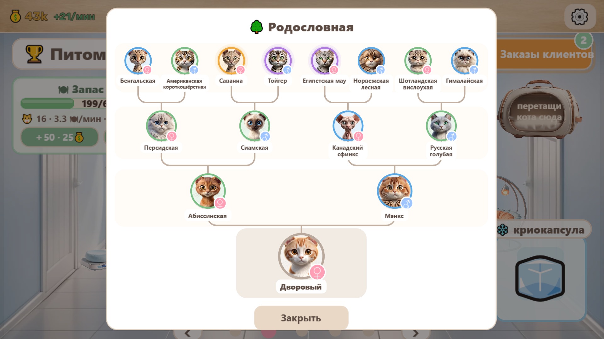 Котолаборатория — screenshot 18