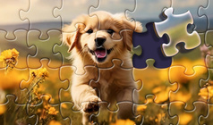 Relax Jigsaw Puzzles