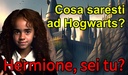 Cosa saresti ad Hogwarts?