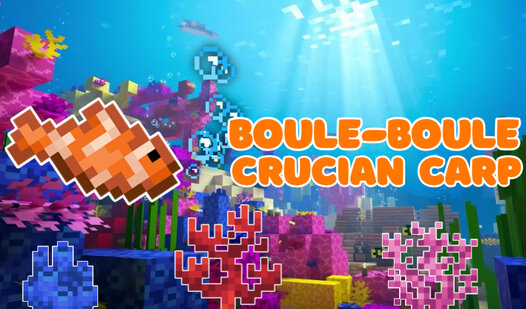 Boule-Boule Crucian Carp