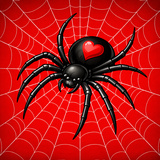 Spider Solitaire Online 1 - 2 - 4 suits