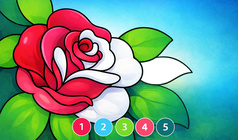 Color by Number