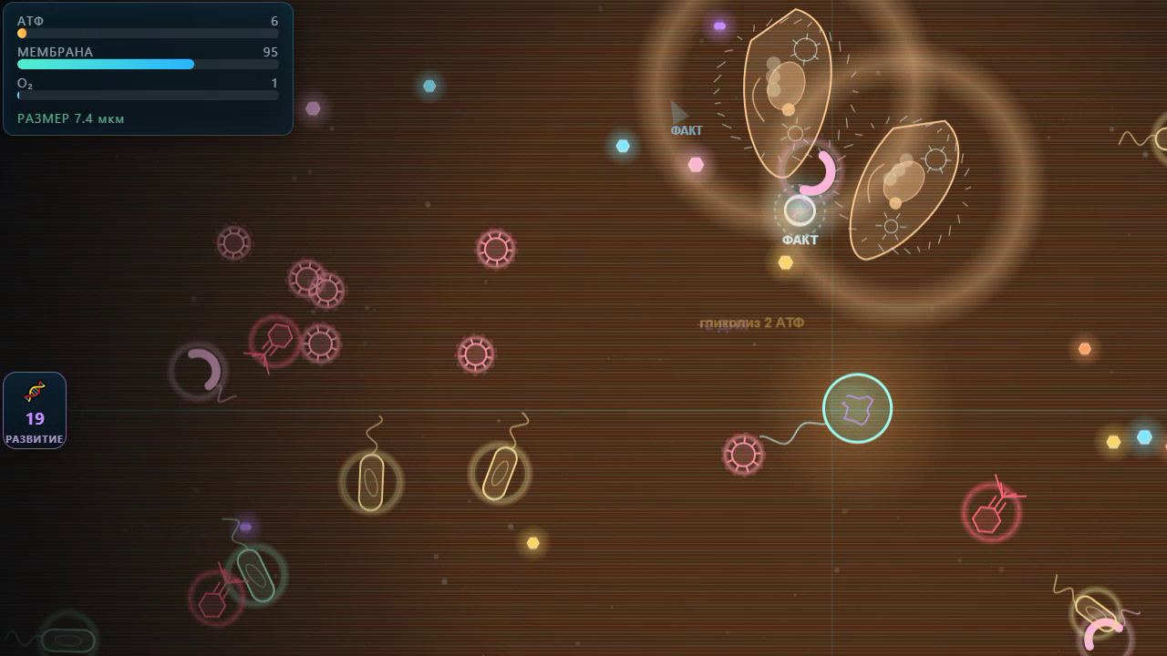 Симулятор бактерии — screenshot 2