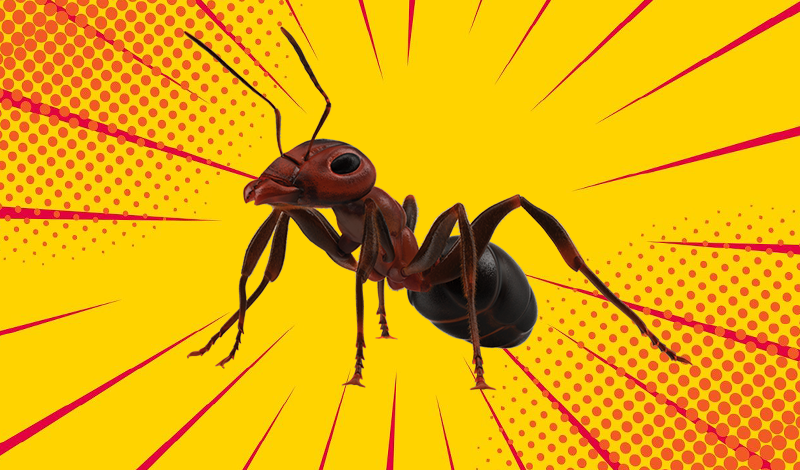 Ant Colony game cover