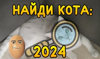 Найди Кота: 2024