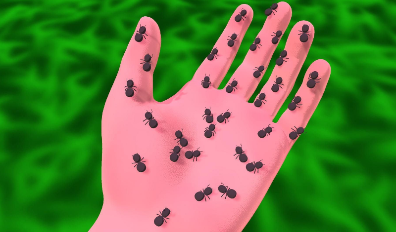 Ants Adventure game cover