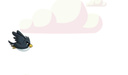 Flappy Jackdaw