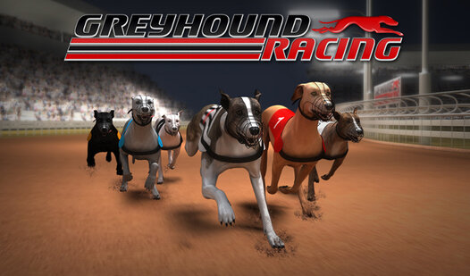 Greyhound Racing