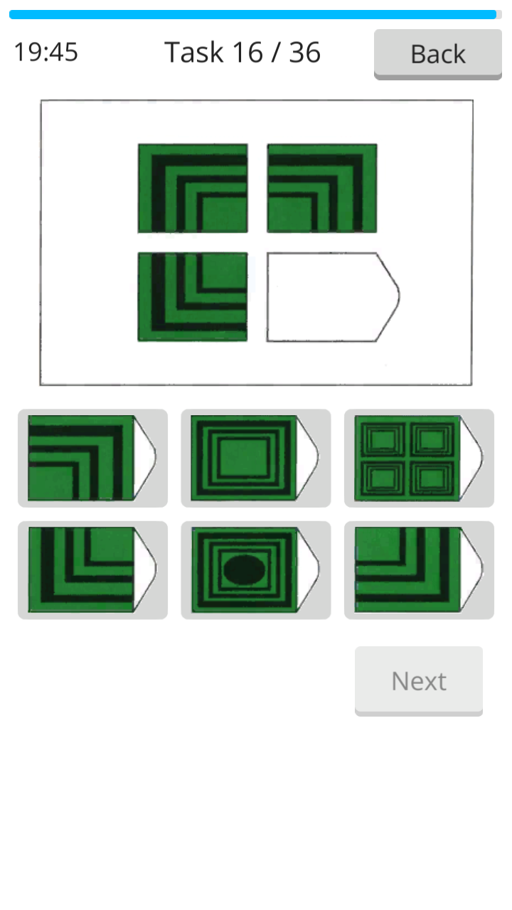 Raven IQ Test screenshot 9
