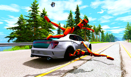 My Car, My Rules