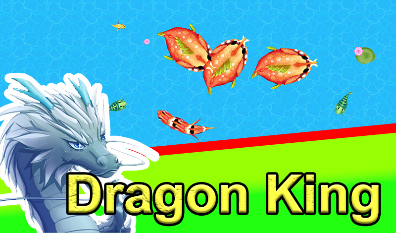 Dragon King game cover