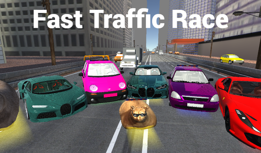 Fast Traffic Race