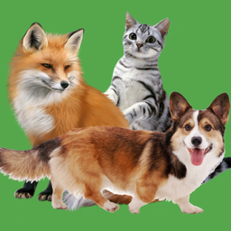 Звуки животных для малышей