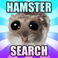 Hamster Search