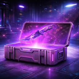 Cyber Case