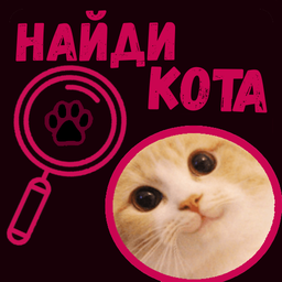 Найди кота