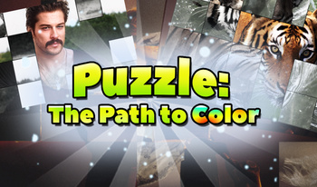 Puzzle: The Path to Color