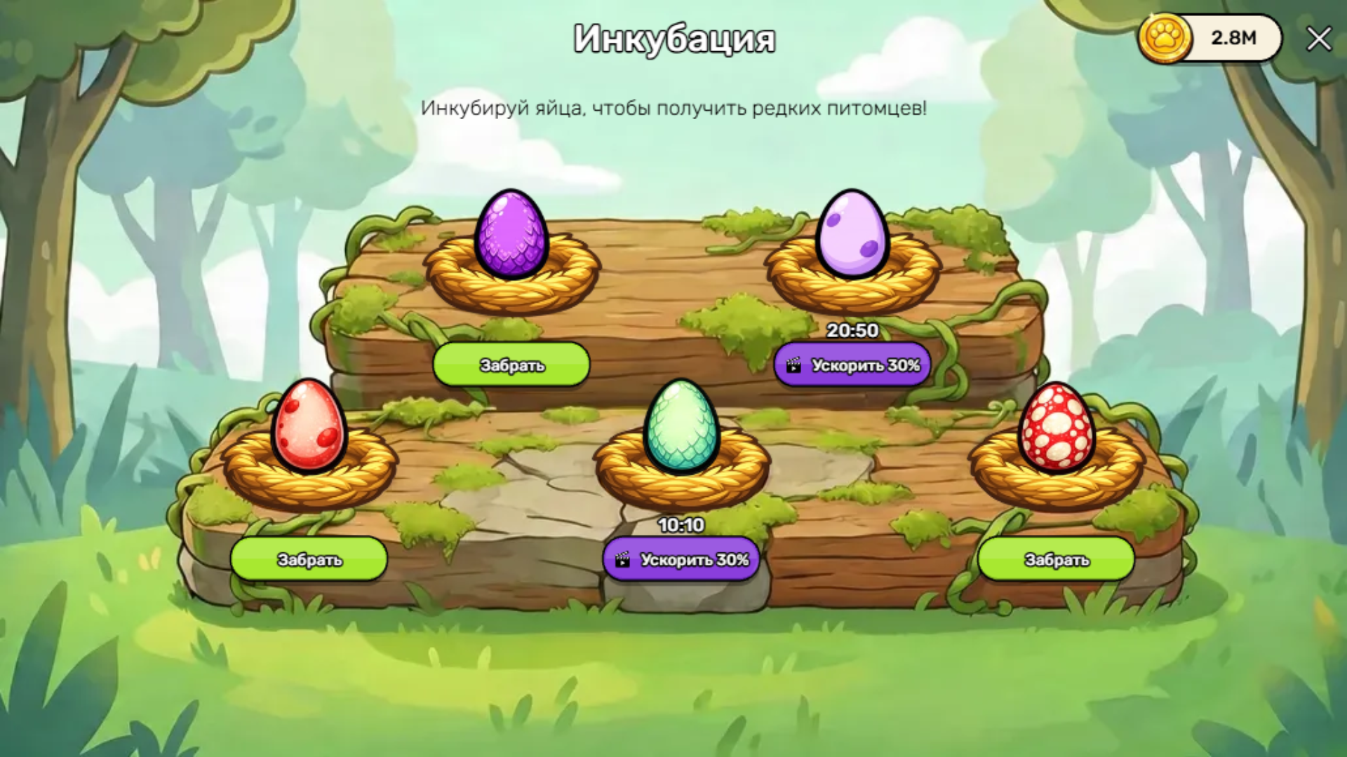 Pets Roll — screenshot 2