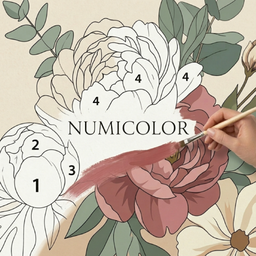 Numicolor