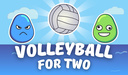 Volleyball for Two