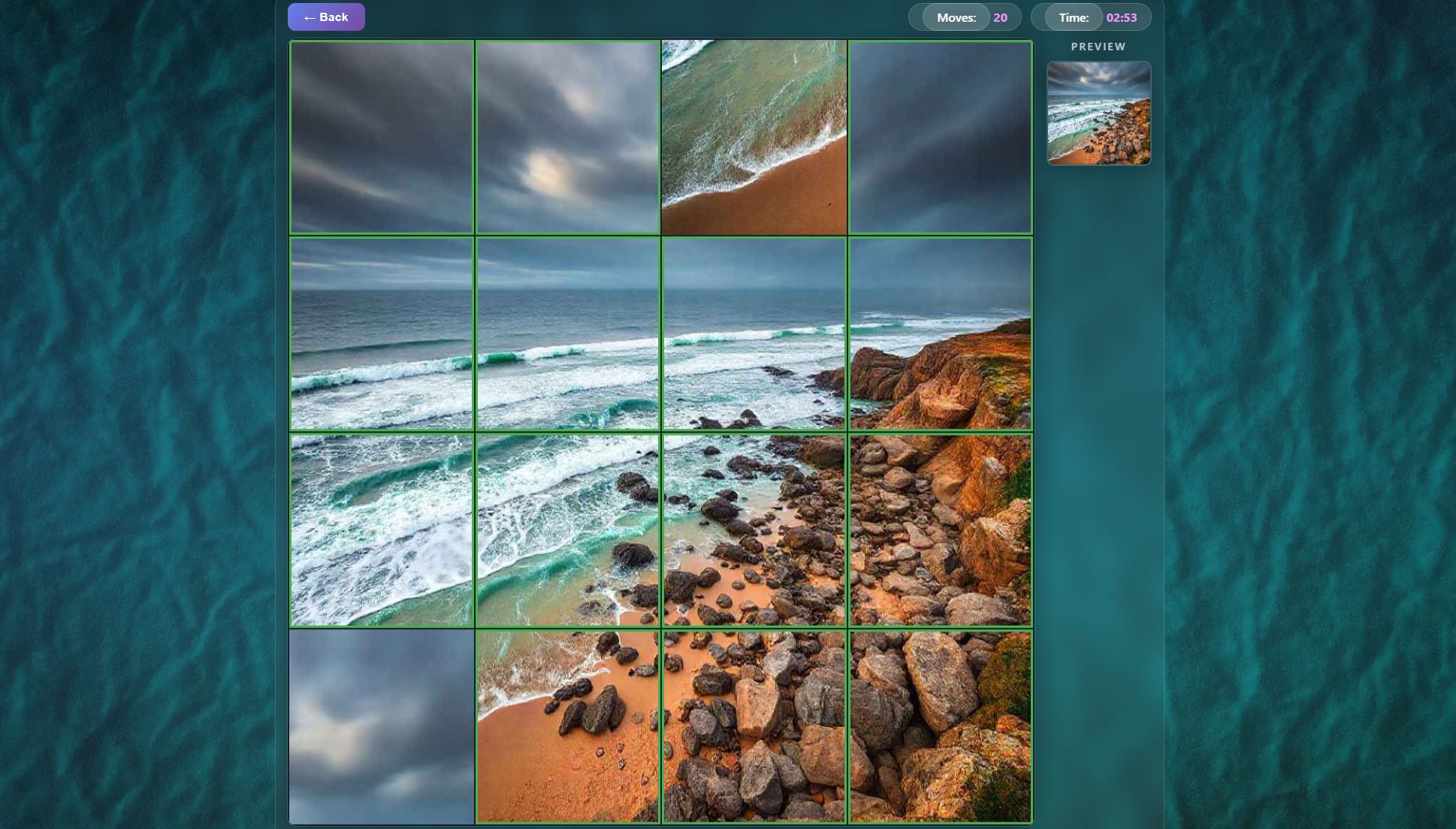 Puzzles about nature — screenshot 2