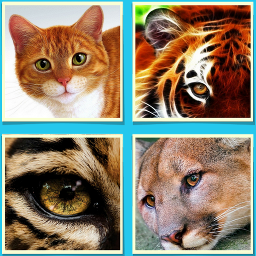 4 Photos and a Word icon