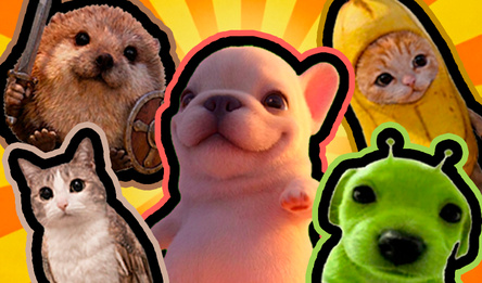 Chill Dog: Meme Animals!