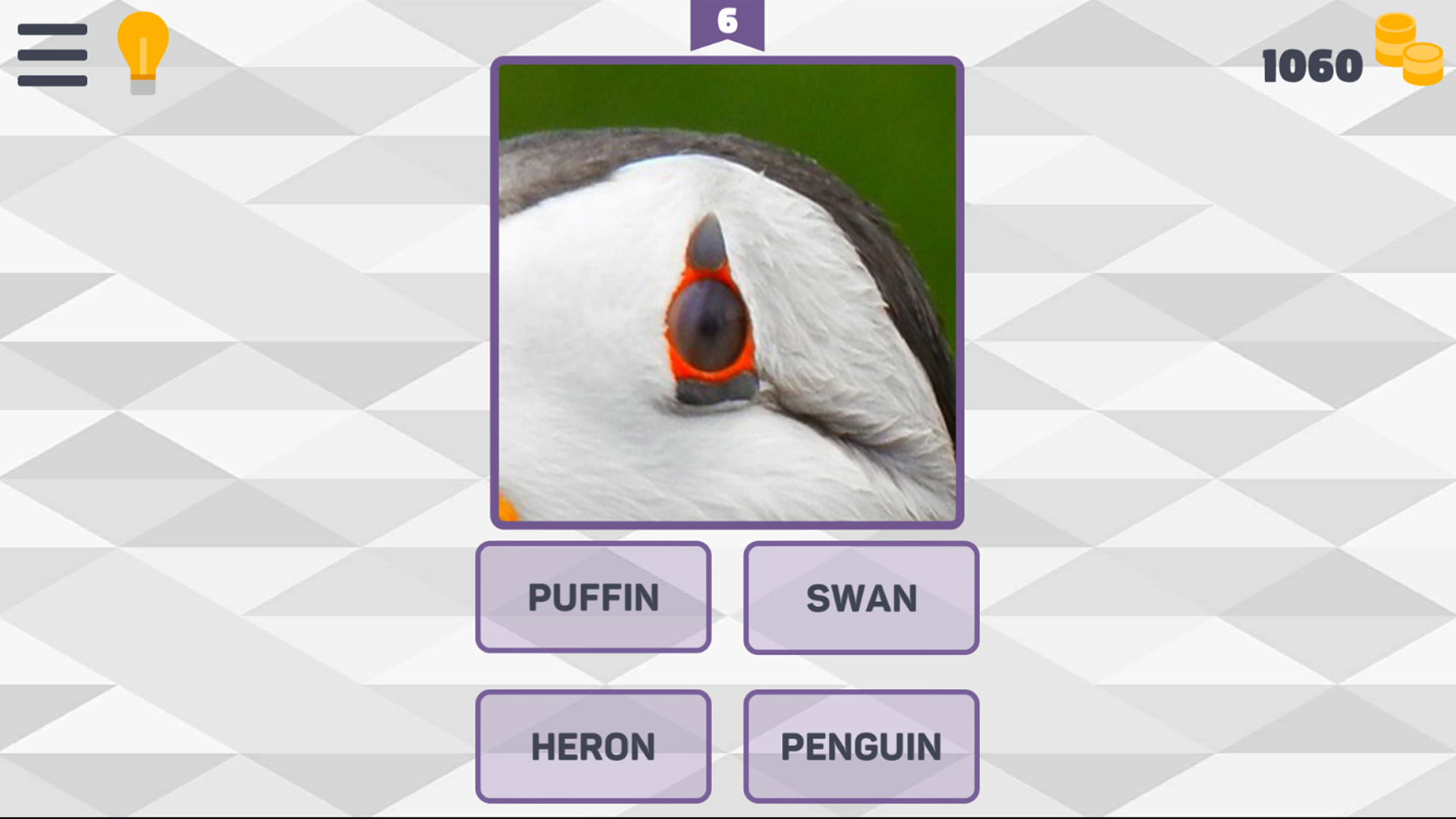 ZooQuiz: 200+ Animal Questions — screenshot 1