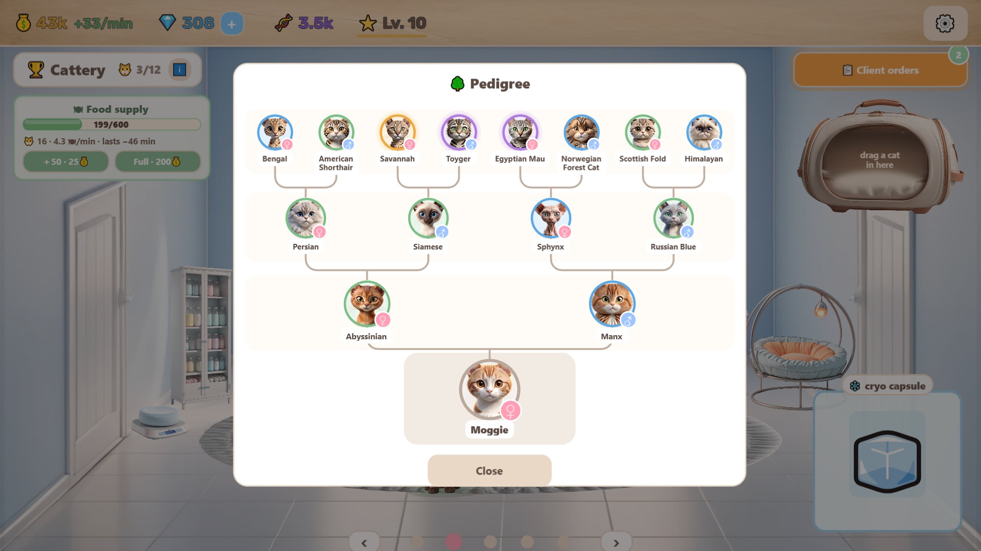 Catlab — screenshot 8