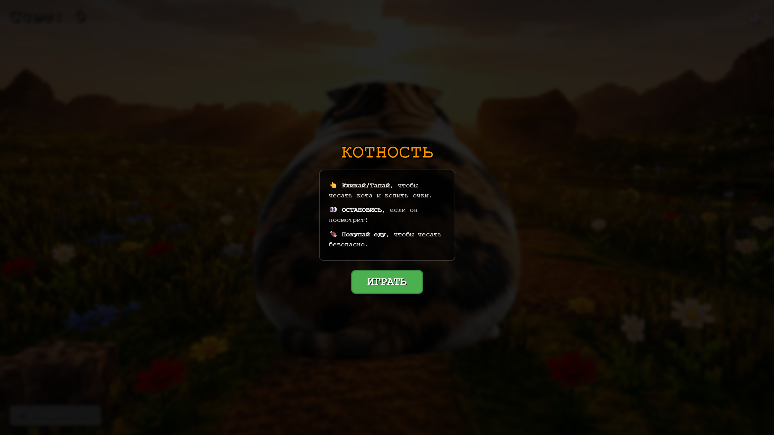 Котность — screenshot 1