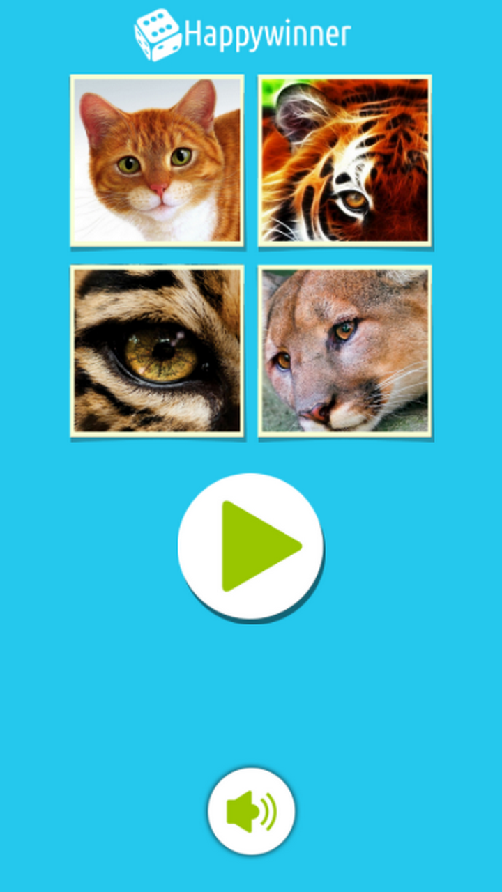 4 Photos and a Word screenshot 5