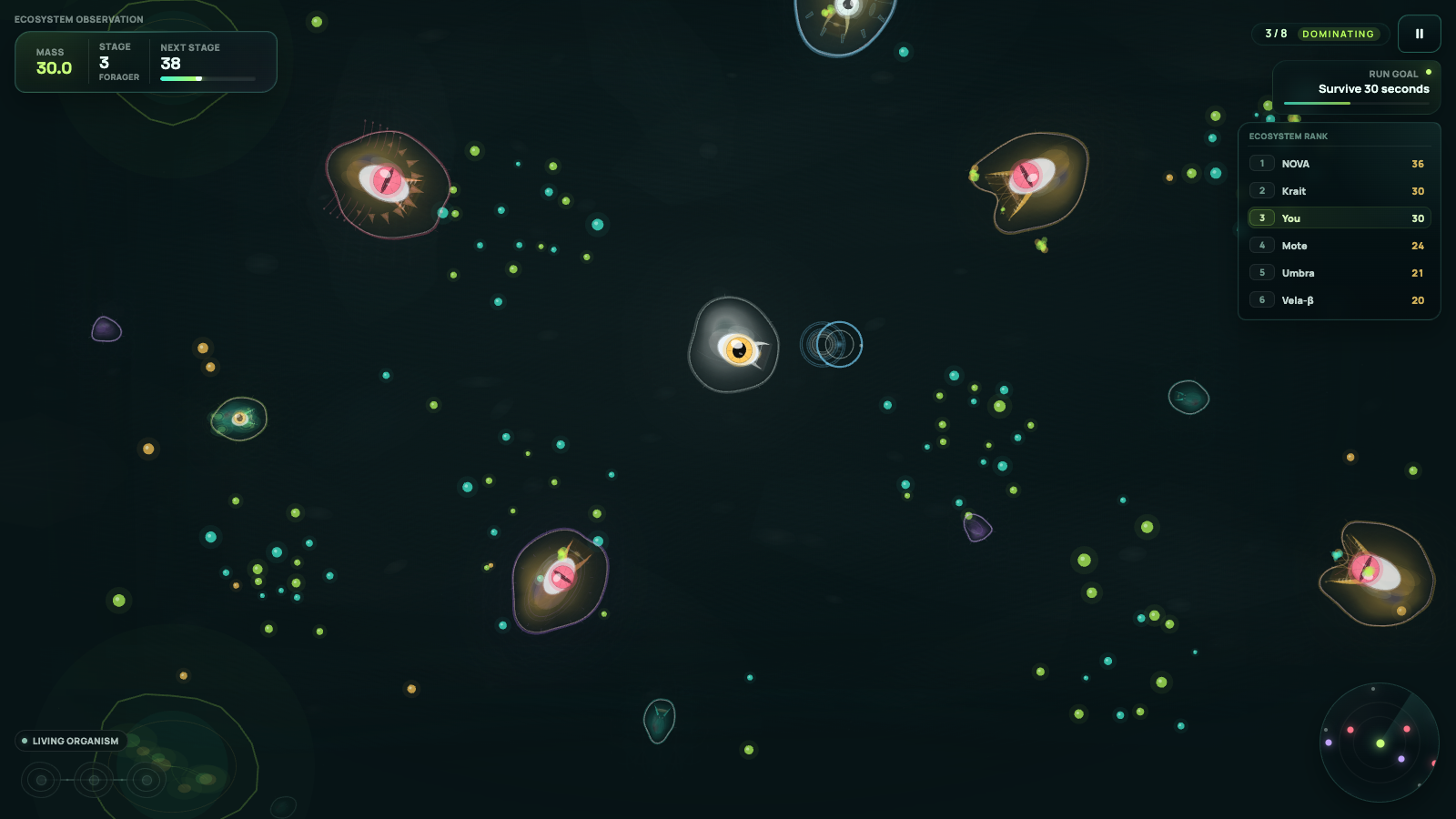 Sporio — screenshot 4
