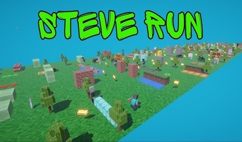 Steve Run