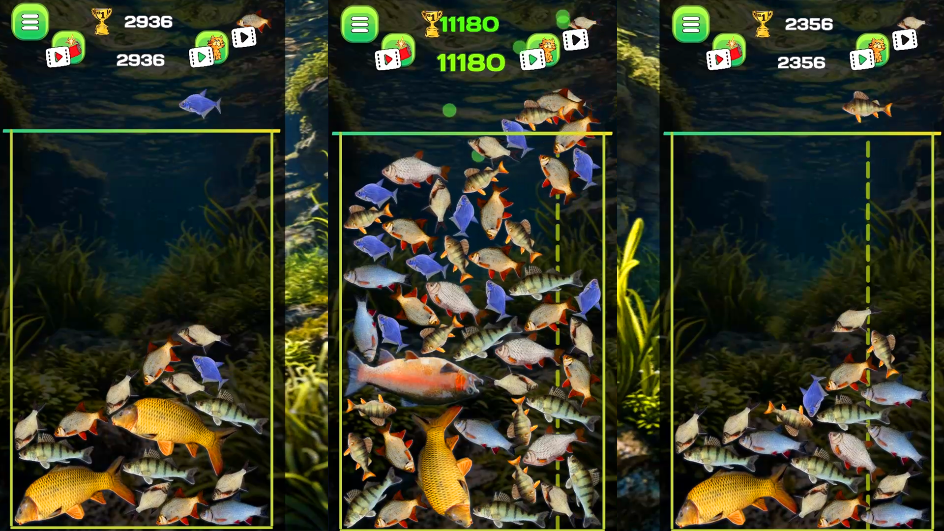 Connect the fish - Reach the Pike screenshot