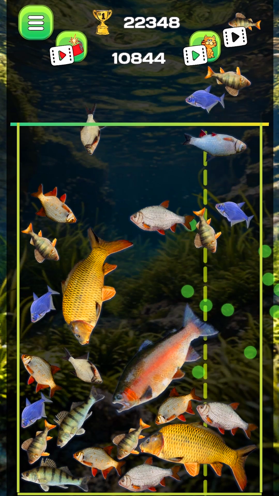 Connect the fish - Reach the Pike screenshot 8