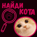 Найди кота