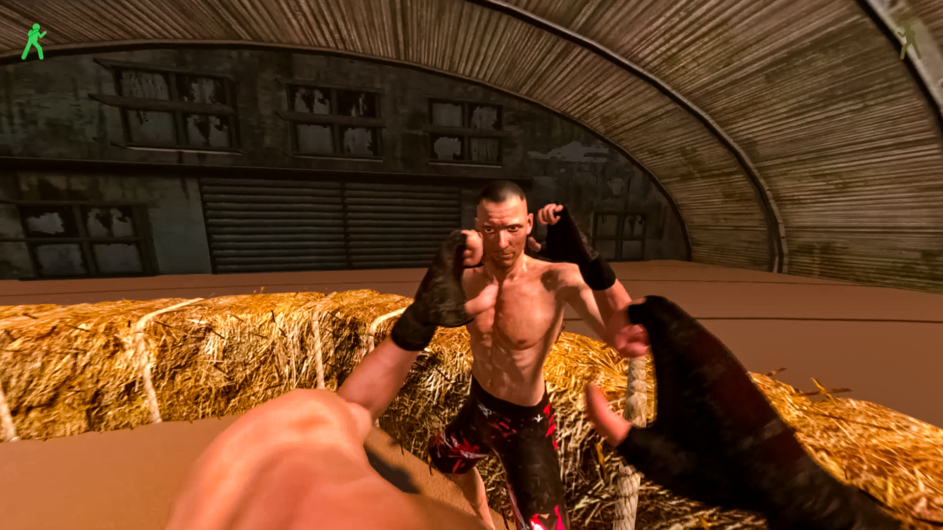 Красно-Синий: Кулачные Бои — screenshot 9