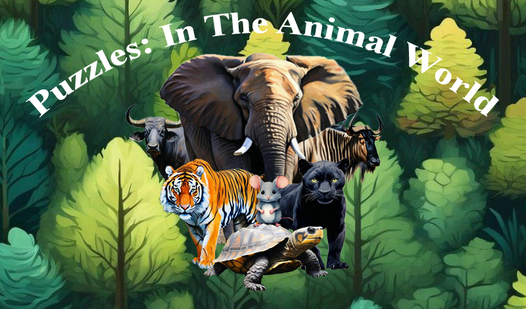 Puzzles: In the animal world