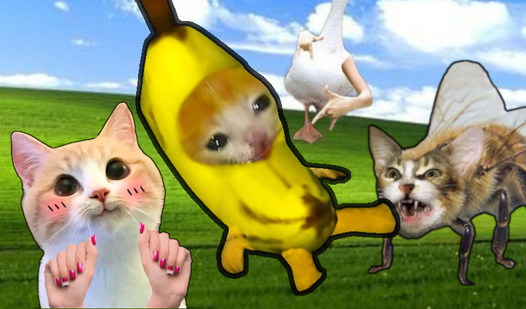 Banana Cat vs Bee Cat!